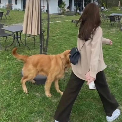 巴拉圭的悠悠时光
